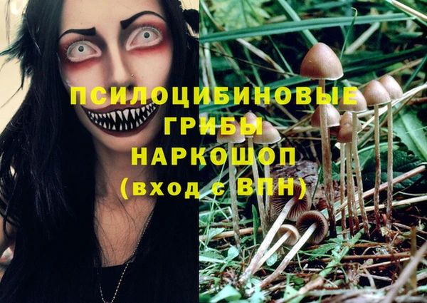 мяу мяу мука Михайловка