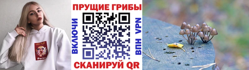 Псилоцибиновые грибы мухоморы  Купить закладки  Псков 